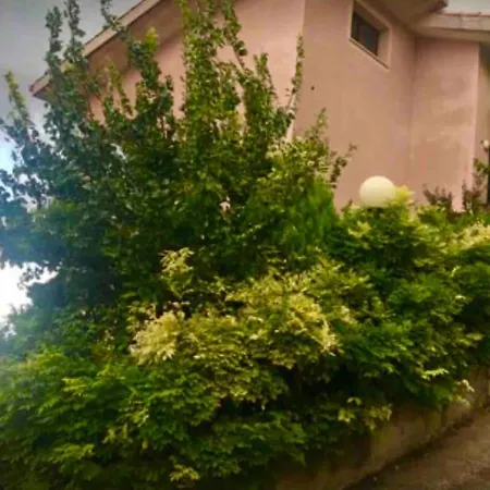 Il Panorama * Altofonte